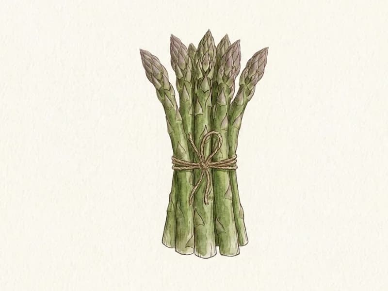 Asperge